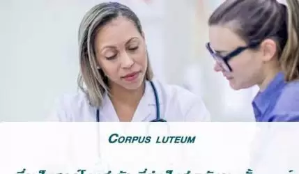 Corpus luteum ซึ่งเป็นฮอร์โมนสำคัญที่จำเป็นสำหรับการตั้งครรภ์
